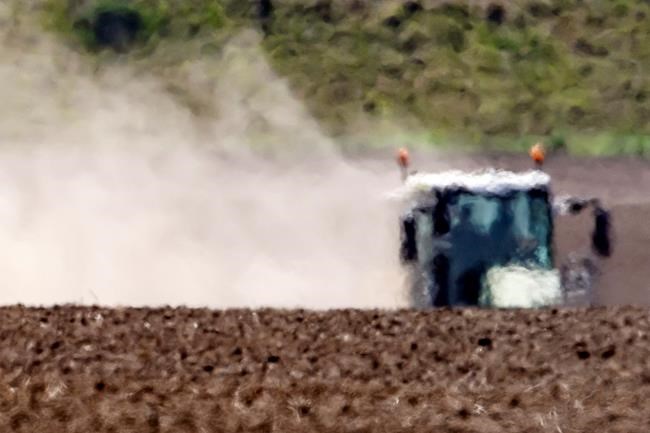 Germany hoping for rain to avoid 3rd straight summer drought | iNFOnews.ca