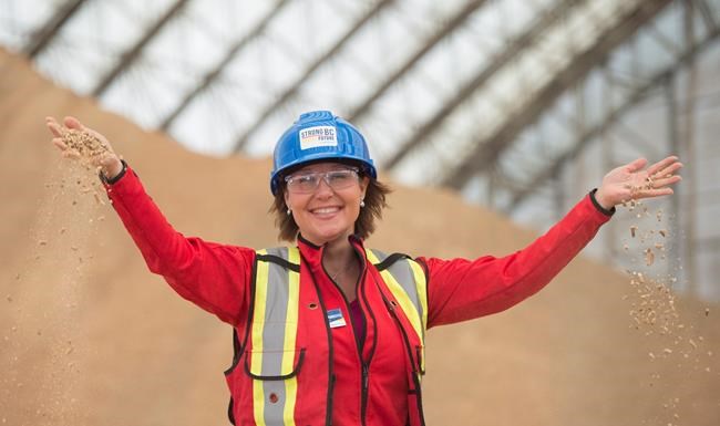 B.C. Liberal leader says all Canadians involved in U.S. softwood offer balked | iNFOnews.ca CP1718322820
