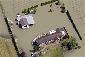 B.C. premier doesn't want to interfere with flood cleanup near Sicamous, B.C. | iNFOnews.ca CP19231762