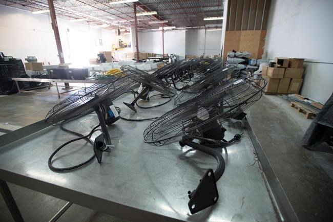 Medical marijuana equipment auction reveals risky business for pot entrepreneurs | iNFOnews.ca Medical marijuana equipment auction reveals risky business for pot entrepreneurs | iNFOnews.ca