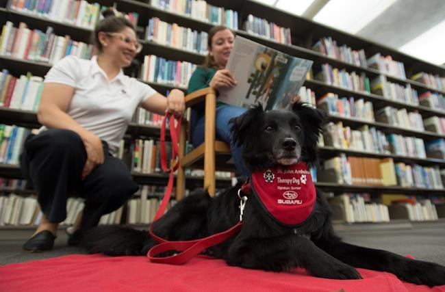 Vancouver library loans out dogs in poetry promotion for 15-minute outings | iNFOnews.ca
