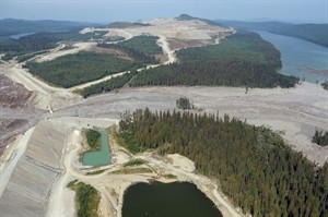 CP29383886