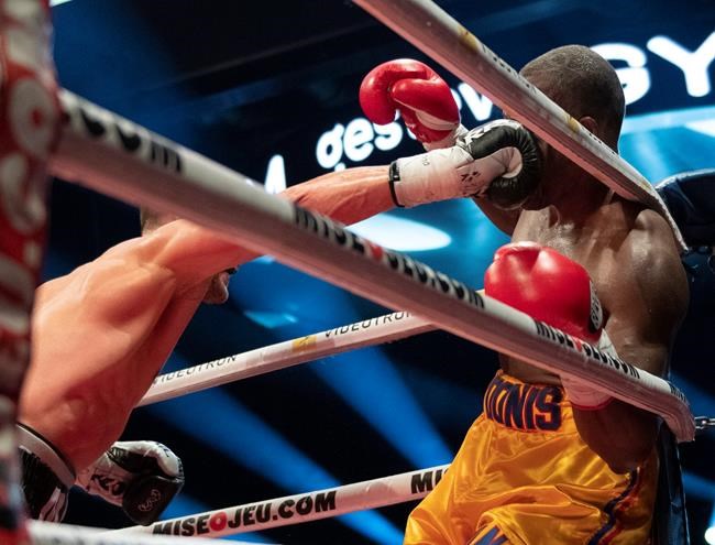 Fighters not swayed by risk of head trauma in combat sports like boxing and MMA | iNFOnews.ca