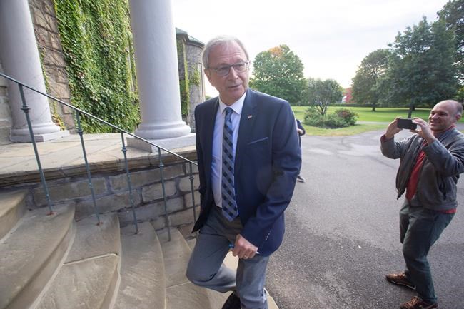 N.B. Greens say they're open to deal to support Progressive Conservatives | iNFOnews.ca