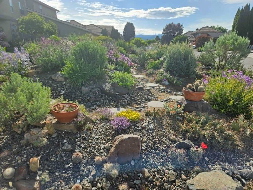 Zero water required for garden bursting with blooms in Kamloops | iNhome