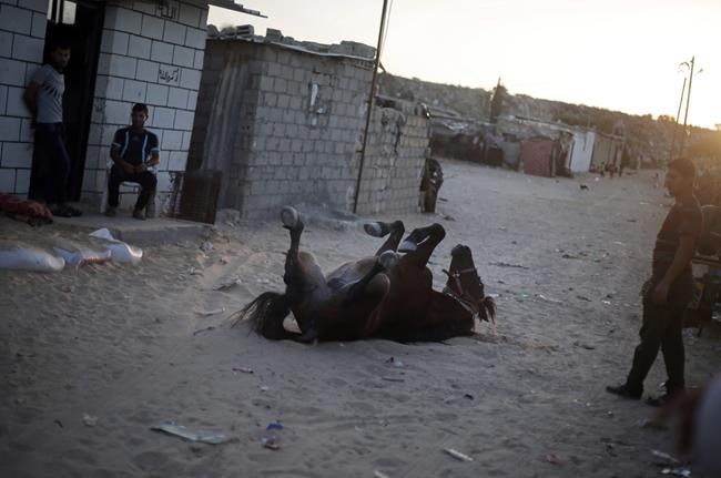 Gaza slum growth illustrates economic plight, bleak future | iNFOnews.ca