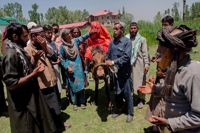 Kashmir nomads wonder what place they have in today's India | iNFOnews.ca Kashmir nomads wonder what place they have in today's India | iNFOnews.ca