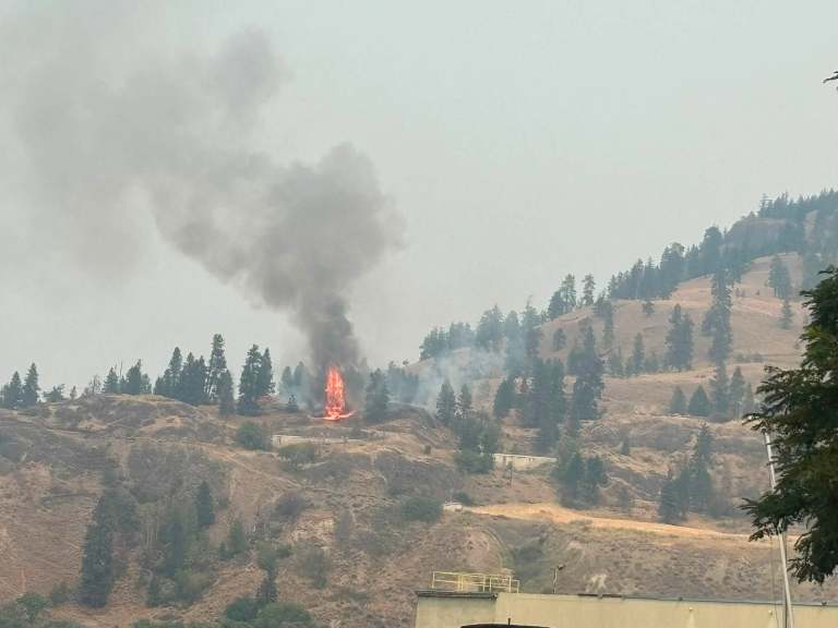 Why arson fires in Kelowna's Knox Mountain park aren’t more catastrophic | iNFOnews.ca