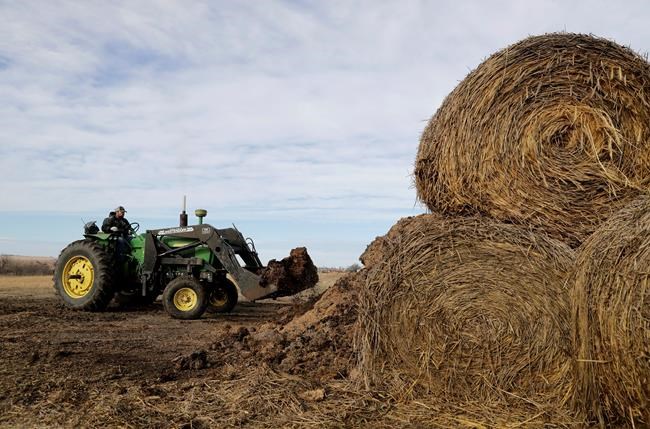 Congress' budget patch averts national farm loan crisis | iNFOnews.ca