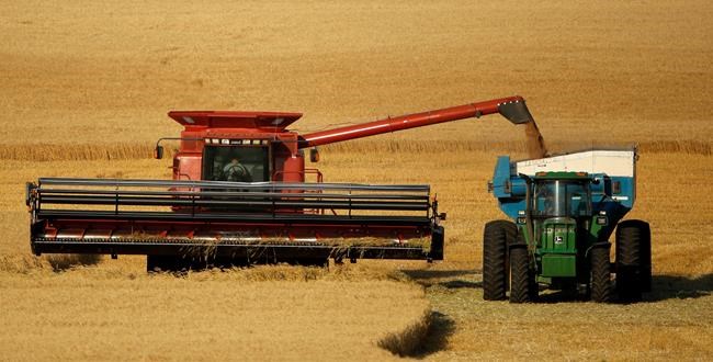 Harvesters struggle to recruit foreign crews during pandemic | iNFOnews.ca
