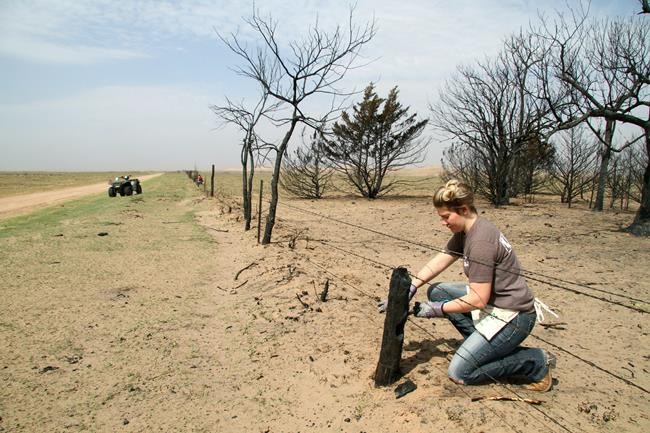 Some high plains farmers struggling after fires, drought | iNFOnews.ca