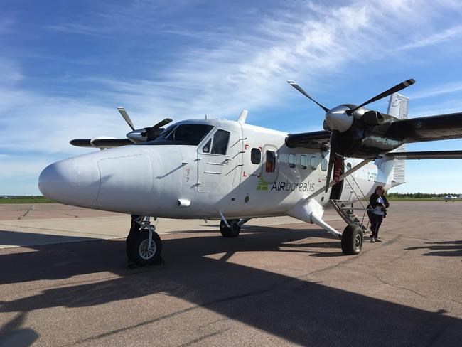 Federal officials take to sky in a different kind of East Coast whale hunt | iNFOnews.ca
