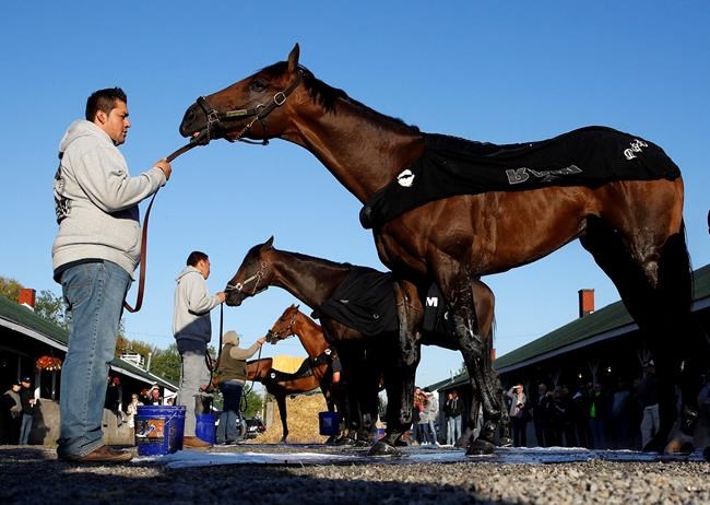 NBC's Derby coverage to get closer with backstretch camera | iNFOnews.ca