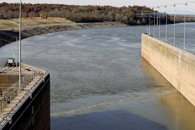 'Fish fence' being tested in Kentucky to stop Asian carp | iNFOnews.ca