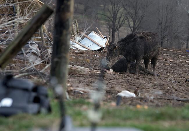 The Latest: Possible tornado damage reported in Alabama | iNFOnews.ca