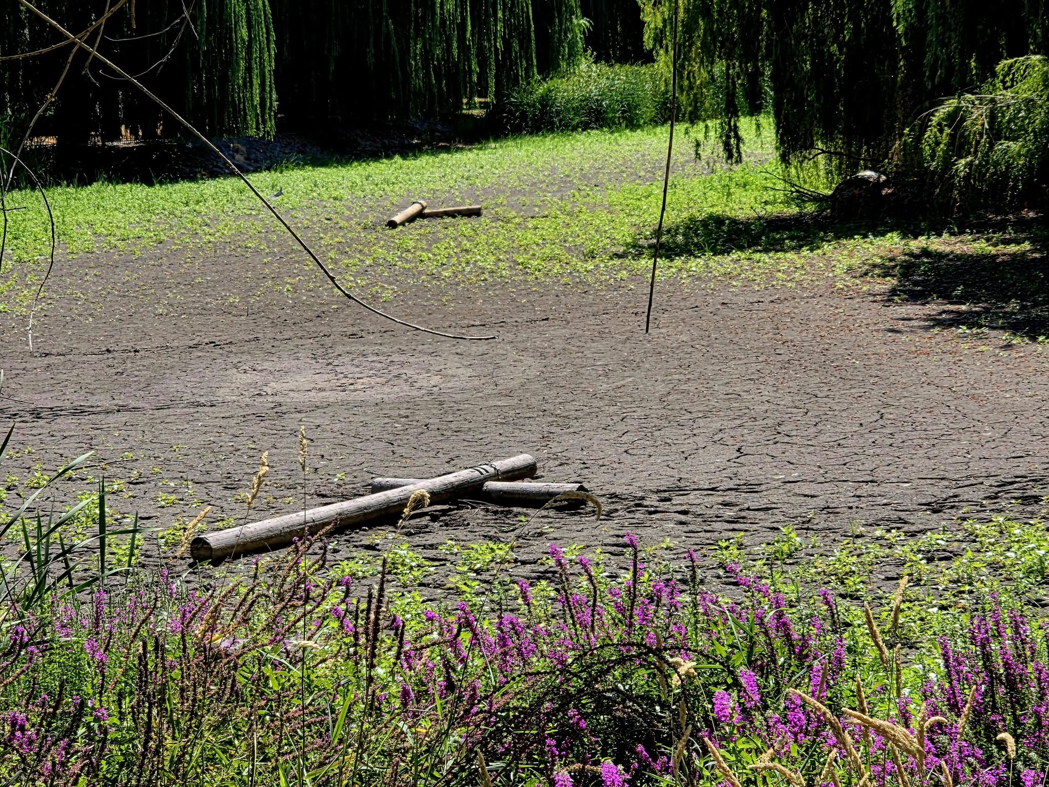 There is a dried lagoon with a muddy bottom.
