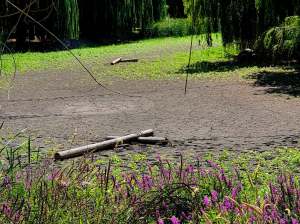 There is a dried lagoon with a muddy bottom.