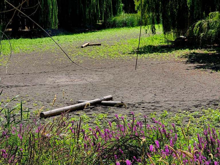 There is a dried lagoon with a muddy bottom.