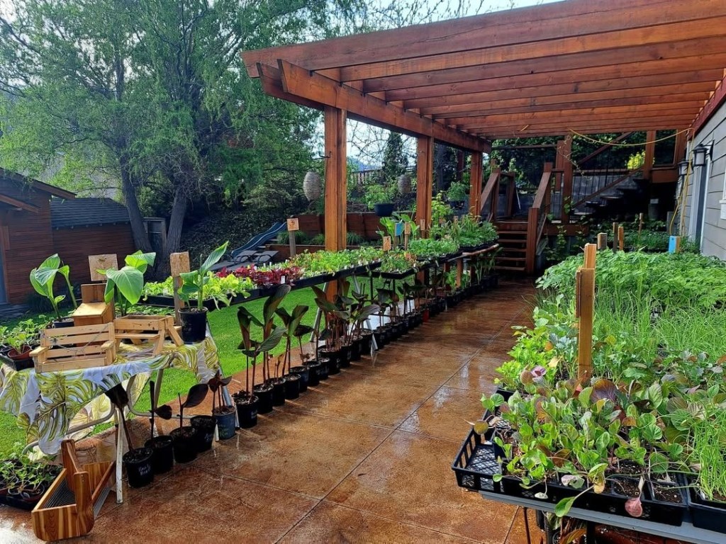 iN PHOTOS: Gardners create beautiful backyard oases in Kamloops, Okanagan | iNhome