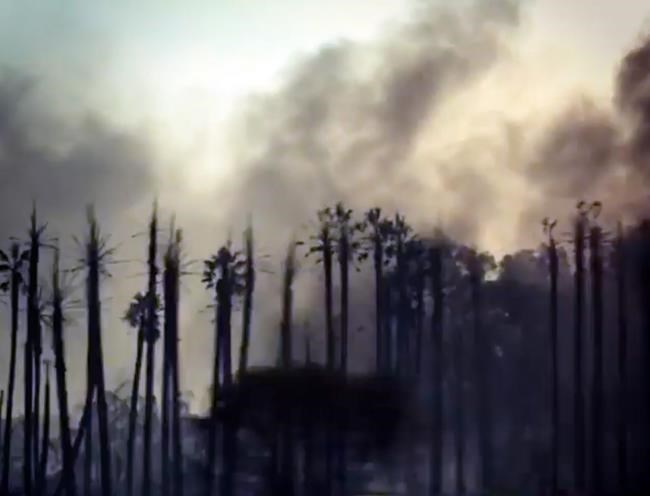 Ash falls like snow as celebrities flee California community | iNFOnews.ca