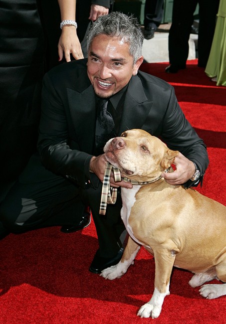 No charges against TV's 'Dog Whisperer' Cesar Millan | iNFOnews.ca No charges against TV's 'Dog Whisperer' Cesar Millan | iNFOnews.ca