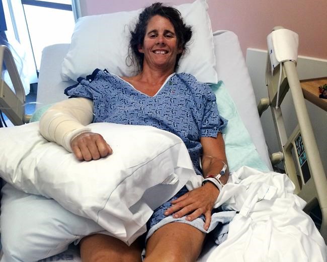 The Latest: More sharks, more shutdowns at California beach | iNFOnews.ca