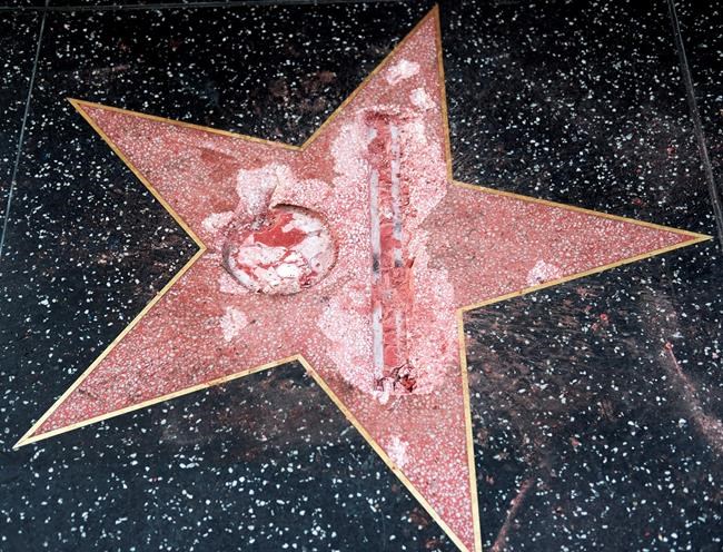 Woman sought in dust-up at Donald Trump's Hollywood star | iNFOnews.ca