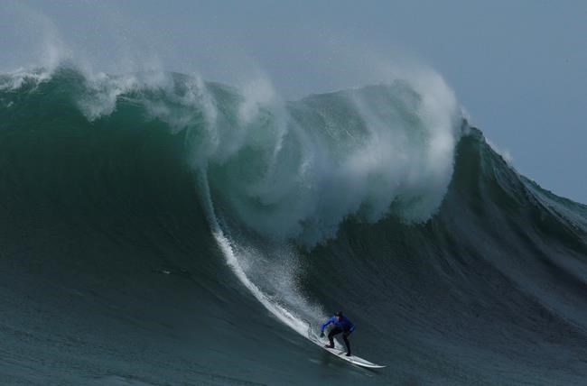 Surf's up in California, where it's now the official sport | iNFOnews.ca