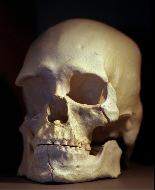 Ancient skeleton to return to Native Americans for reburial | iNFOnews.ca