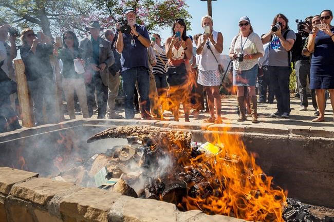 Zoo burns $1M in rhino items in 1st US bonfire of its kind | iNFOnews.ca