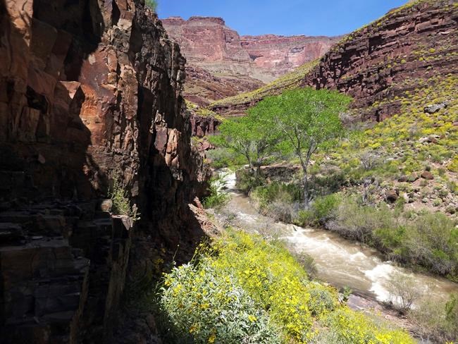 Drones used for first time in major search at Grand Canyon | iNFOnews.ca Drones used for first time in major search at Grand Canyon | iNFOnews.ca