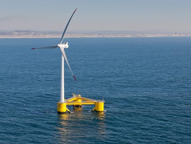 Companies propose deep-water wind farms off Hawaii shores | iNFOnews.ca