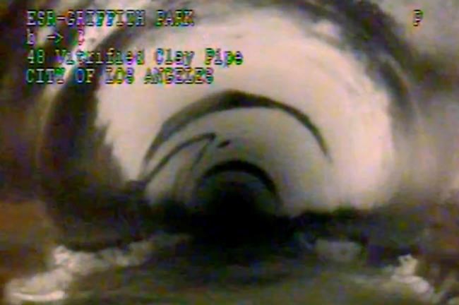 'Miraculous': Teen survives 12 hours in Los Angeles sewage | iNFOnews.ca CP34059296