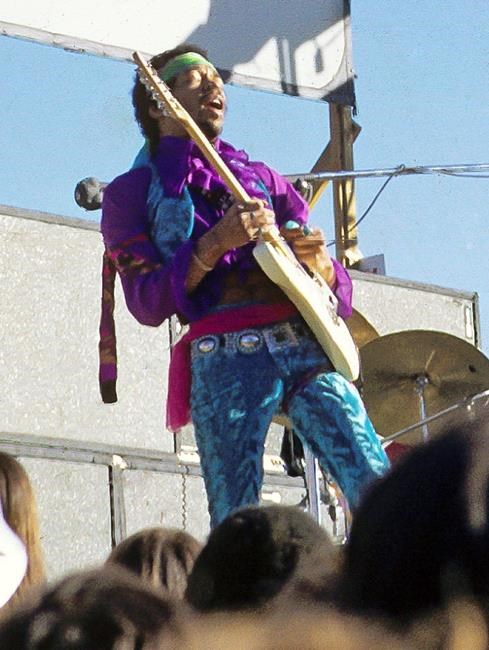 Rare plant named after rock guitarist Jimi Hendrix | iNFOnews.ca Rare plant named after rock guitarist Jimi Hendrix | iNFOnews.ca