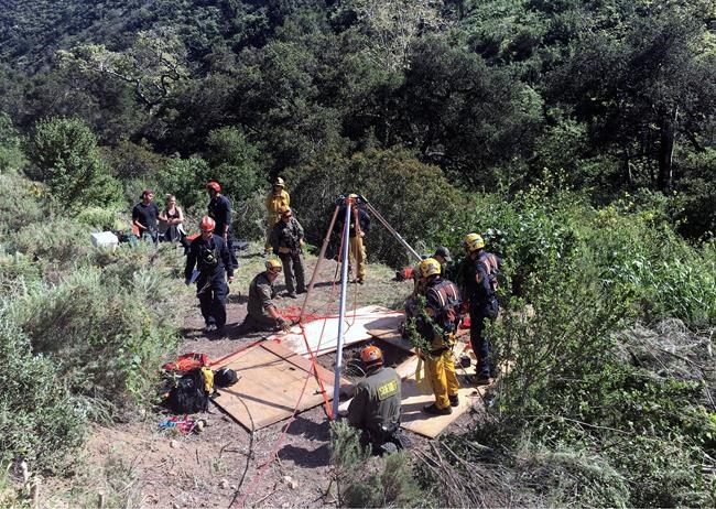 Firefighters hoist dog out of 30-foot well in California | iNFOnews.ca Firefighters hoist dog out of 30-foot well in California | iNFOnews.ca