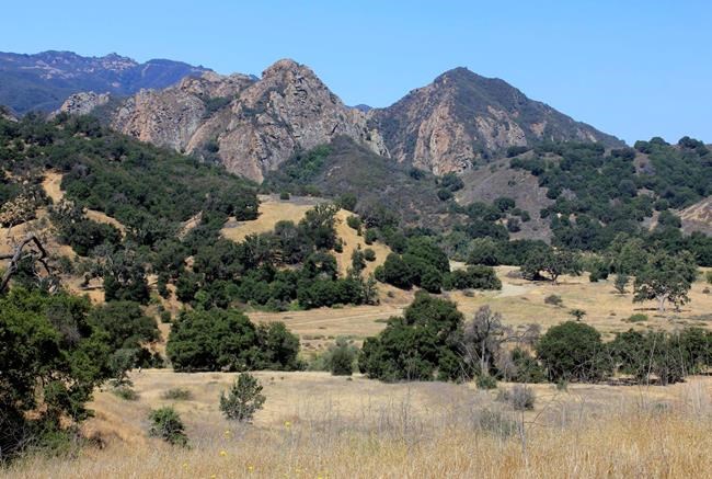 Man charged in California camper's death; 10 other shootings | iNFOnews.ca Man charged in California camper's death; 10 other shootings | iNFOnews.ca