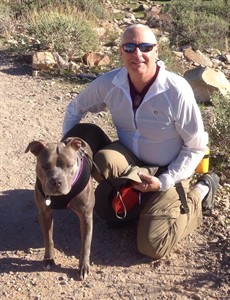 Rough-and-tumble dogs get surgery on knee ligament far more than often their best friends | iNFOnews.ca