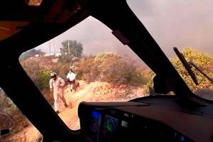 CP1145381291
