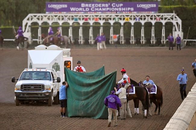 Column: Deaths and few solutions for horses at Santa Anita | iNFOnews.ca Column: Deaths and few solutions for horses at Santa Anita | iNFOnews.ca