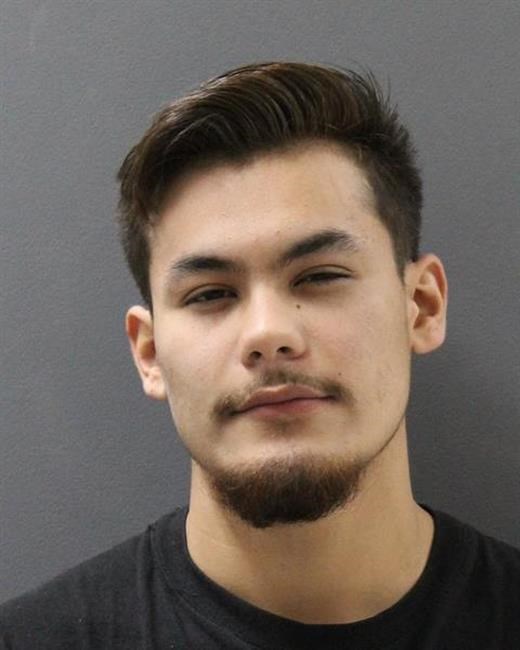 Texas man arrested after Arizona police dog sniffs out drugs | iNFOnews.ca