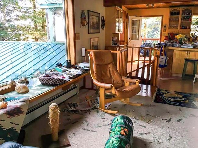 Eagle with 8-foot wing span crashes into Alaska home | iNFOnews.ca CP1083015497