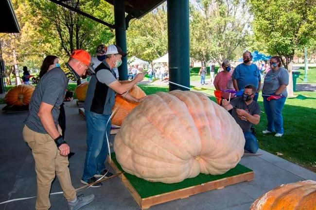 Giant pumpkins smash Utah state record at weigh-off in Lehi | iNFOnews.ca Giant pumpkins smash Utah state record at weigh-off in Lehi | iNFOnews.ca