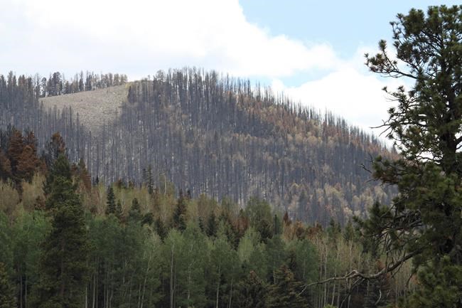 Audit raises concerns about wildfire risks at US nuclear lab | iNFOnews.ca