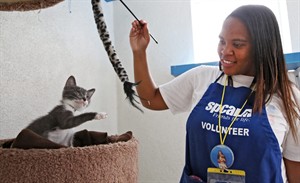 Shelter volunteer says her help frees staff to spend time with animals | iNFOnews.ca CP30019436