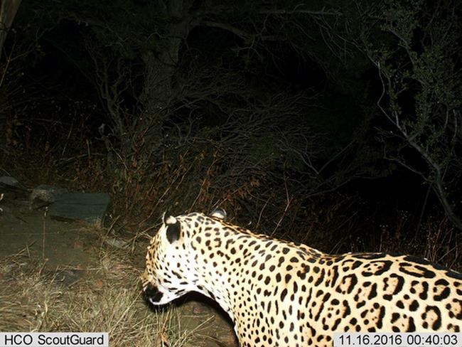 Wildlife conservationists sue over proposed border wall | iNFOnews.ca