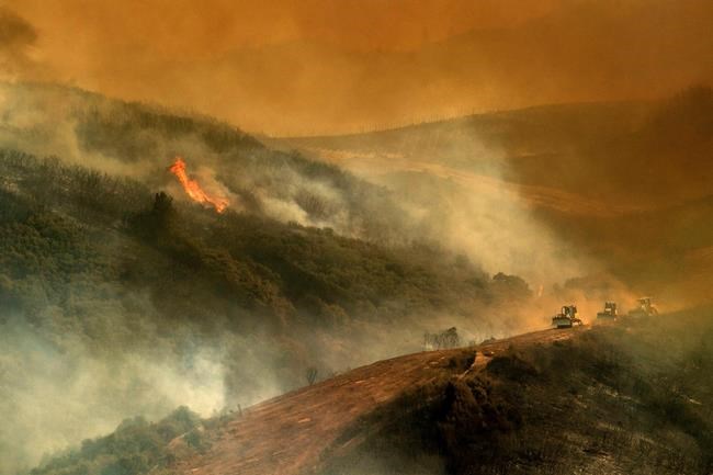 Bulldozer drivers fighting fires get 'a rush' but also risk | iNFOnews.ca
