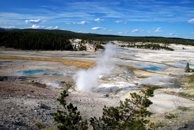 New Yellowstone boss named following predecessor's ouster | iNFOnews.ca New Yellowstone boss named following predecessor's ouster | iNFOnews.ca
