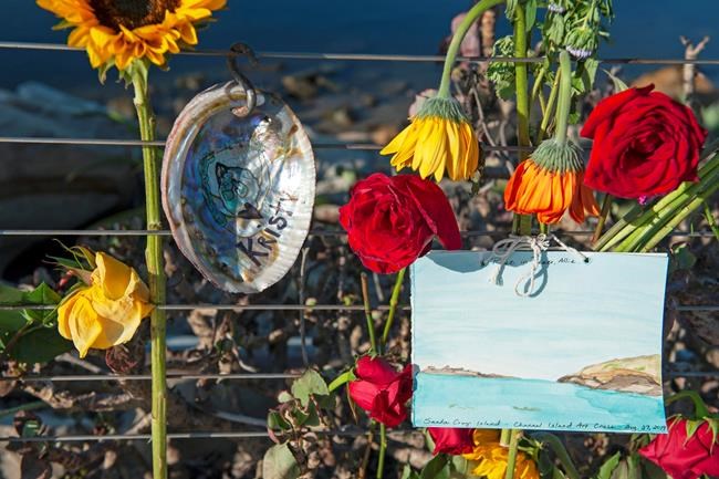 The Latest: Dive boat owner says crew tried to reach victims | iNFOnews.ca