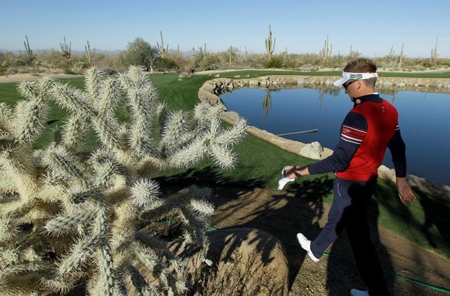 Mojave Desert land purchase to protect 'teddy bear' cactus | iNFOnews.ca CP372290266