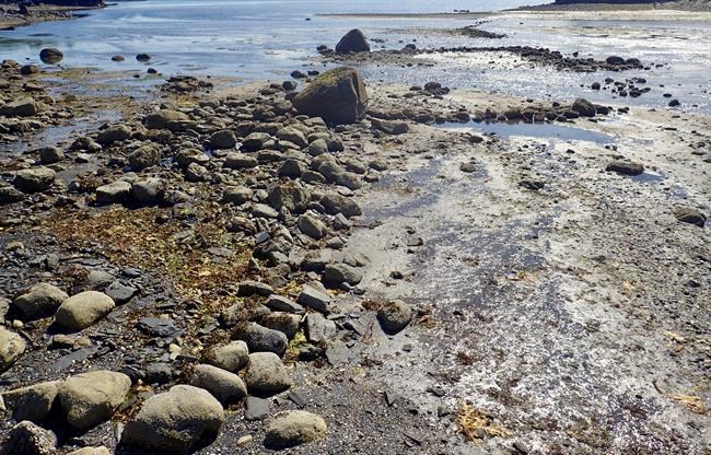 Prehistoric stone fish trap discovered on Alaska island | iNFOnews.ca